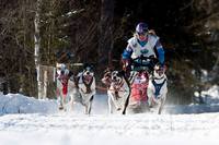 Foto: Kjell O Brun